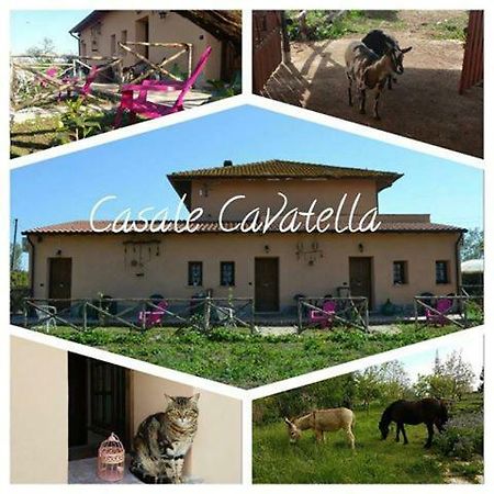 Casale Cavatella Panzió Sermoneta Kültér fotó