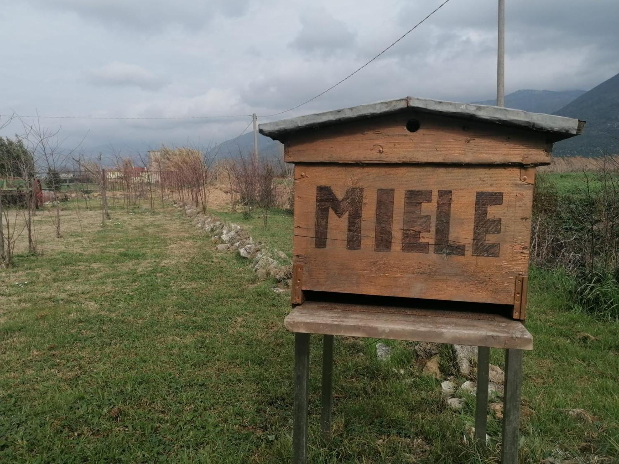 Casale Cavatella Panzió Sermoneta Kültér fotó