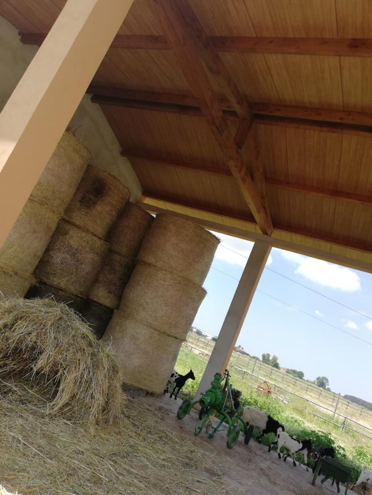 Casale Cavatella Panzió Sermoneta Kültér fotó